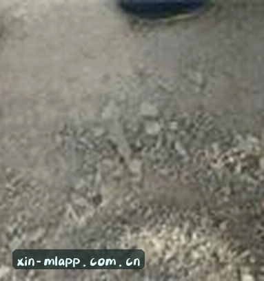 黄磊
